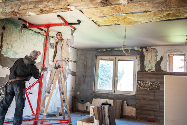 Best Eco-Friendly Insulation in Royal City, WA