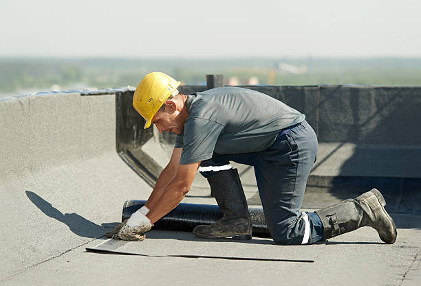 Best Geographic-Specific Insulation Services in Royal City, WA